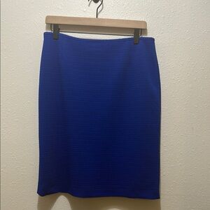Tahari Elegant Blue Women's Skirt, Size 8